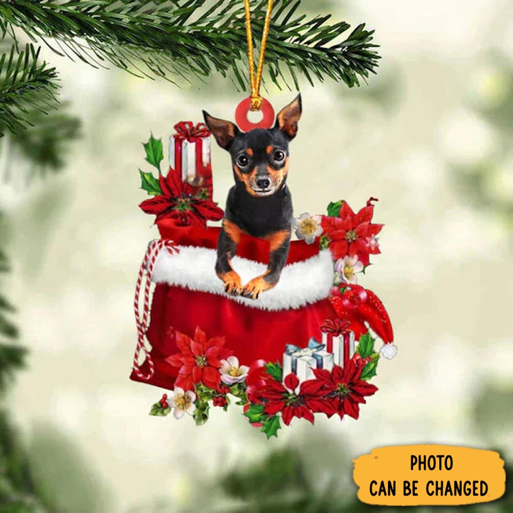 Personalized Miniature Pinchers In Gift Bag Christmas Ornament Meaningful Christmas Ornament Gift