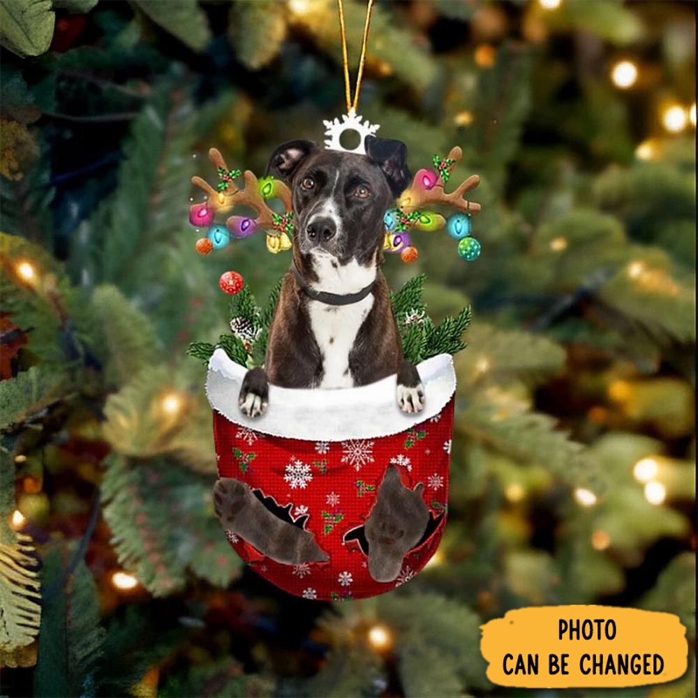 Personalized Mountain Cur In Snow Pocket Christmas Ornament Magical Christmas Tree Ornament