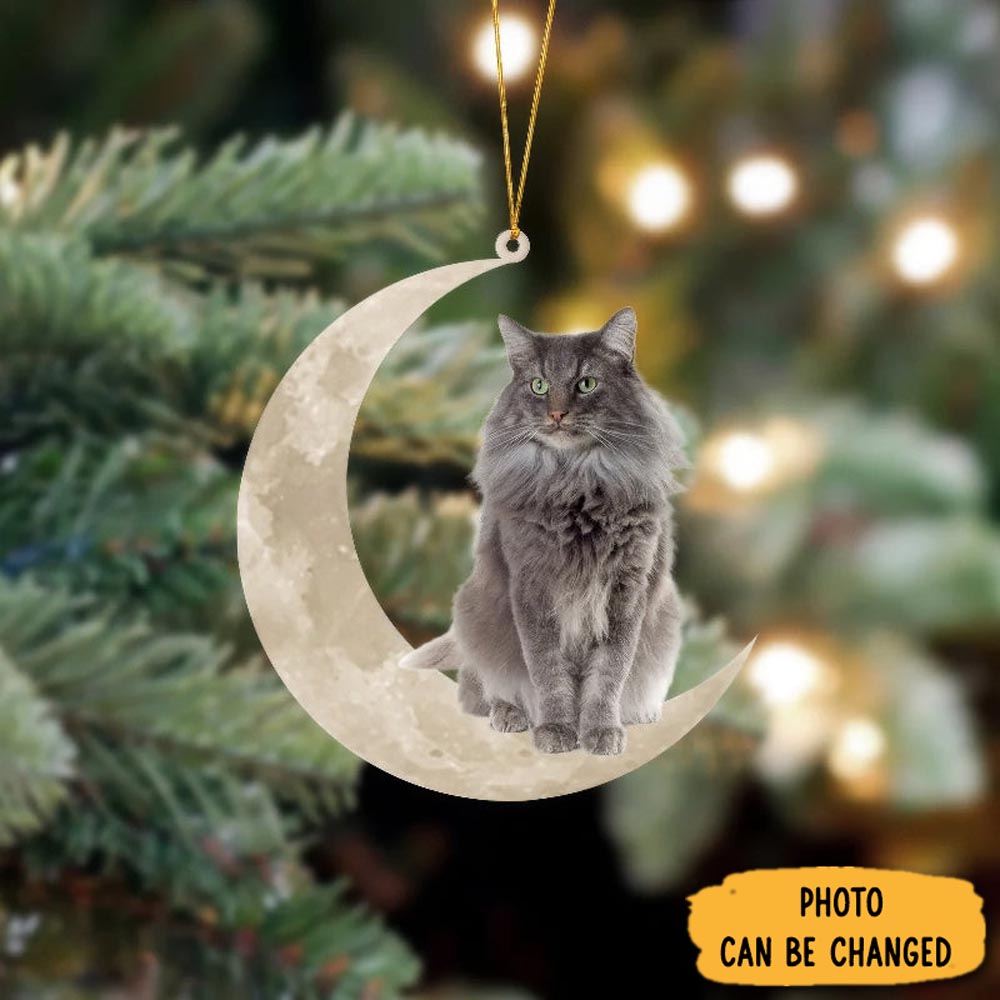 Personalized Norwegian Forest Cat Sits On The Moon Hanging Ornament Thoughtful Valentine Ornament Gift