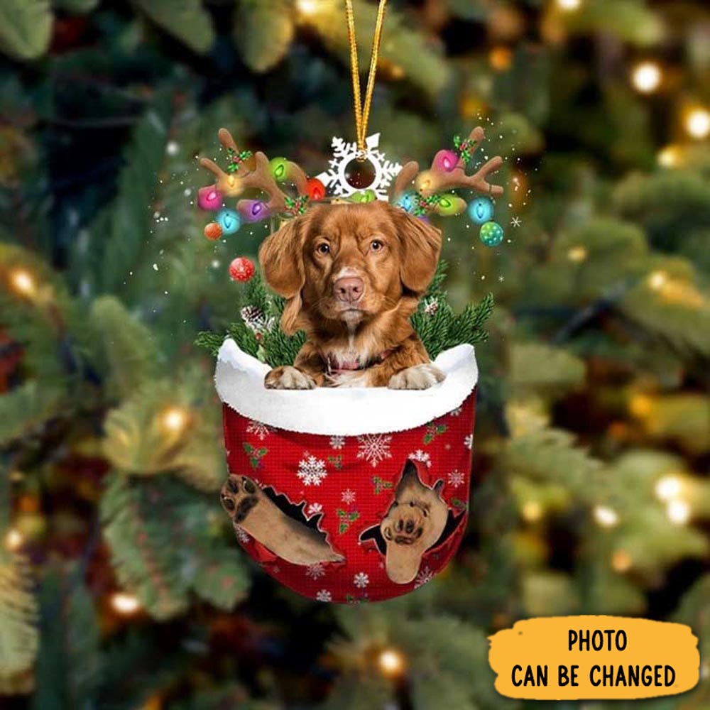 Personalized Nova Scotia Duck Toller In Snow Pocket Christmas Ornament Charming Mother's Day Ornament