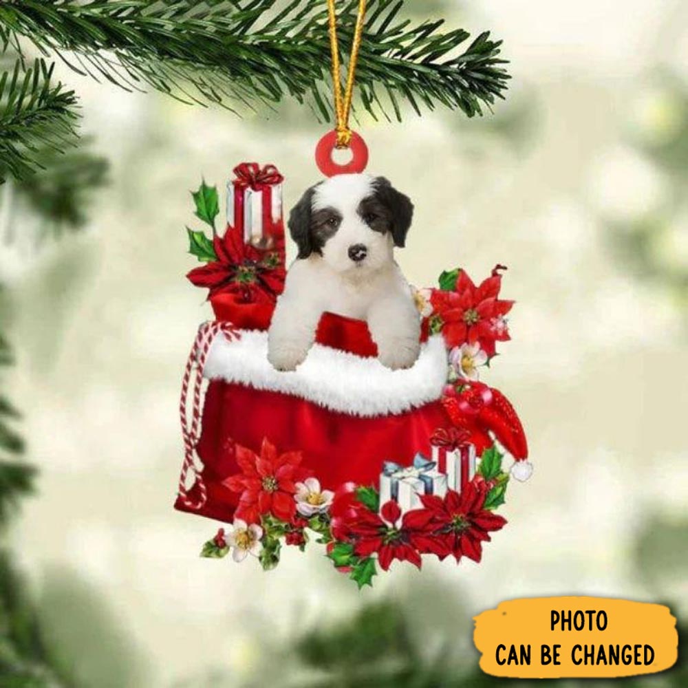 Personalized Old English Sheepdog In Gift Bag Christmas Ornament Beautiful Graduation Ornament Gift