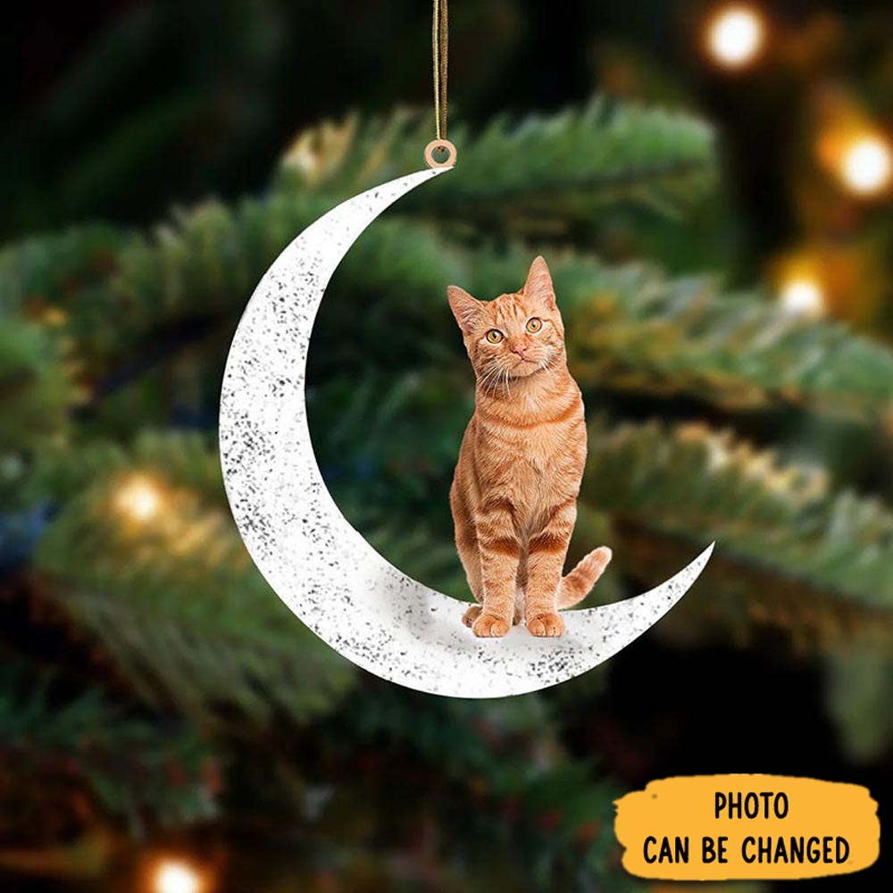 Personalized Orange Female Tabby Sit On The Moon Ornament . Thoughtful Ornament Gift For Dad
