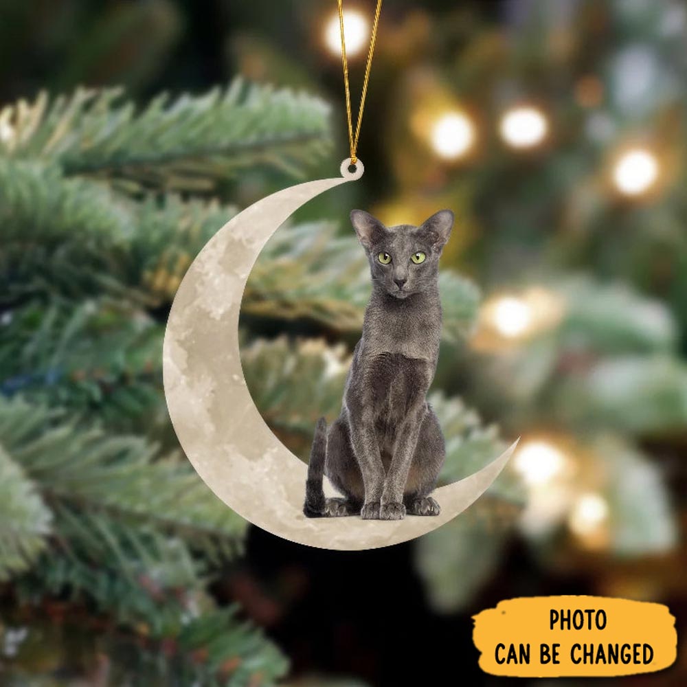 Personalized Oriental Shorthair Cat Sits On The Moon Hanging Ornament Warm Ornament Gift For Family