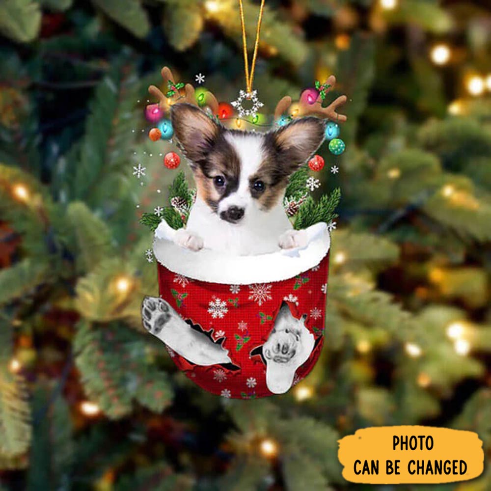 Personalized Papillon In Snow Pocket Christmas Ornament Lovely Holiday Ornament Display