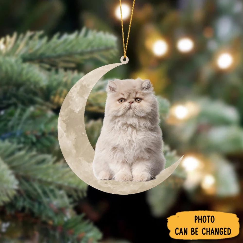 Personalized Persian Cat Sits On The Moon Hanging Ornament Thoughtful Ornament Gift For Dad