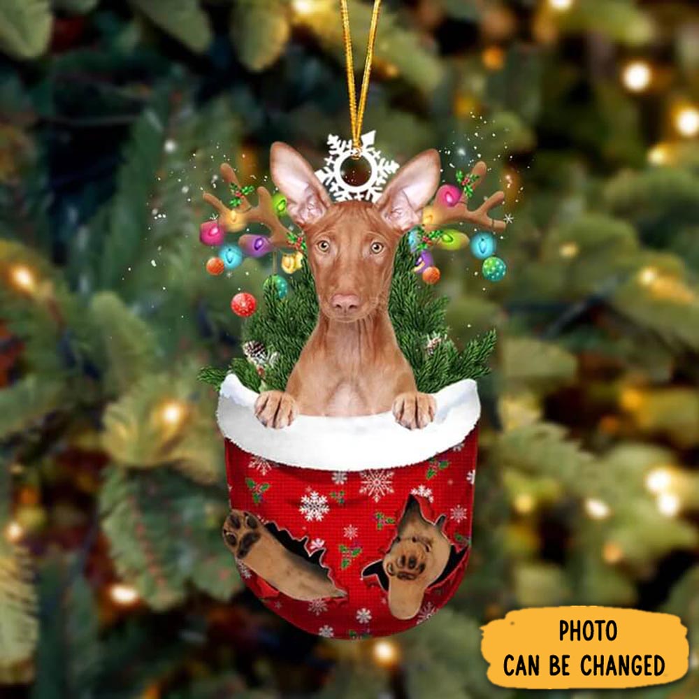 Personalized Pharaoh Hound In Snow Pocket Christmas Ornament Cozy Christmas Ornament Decoration