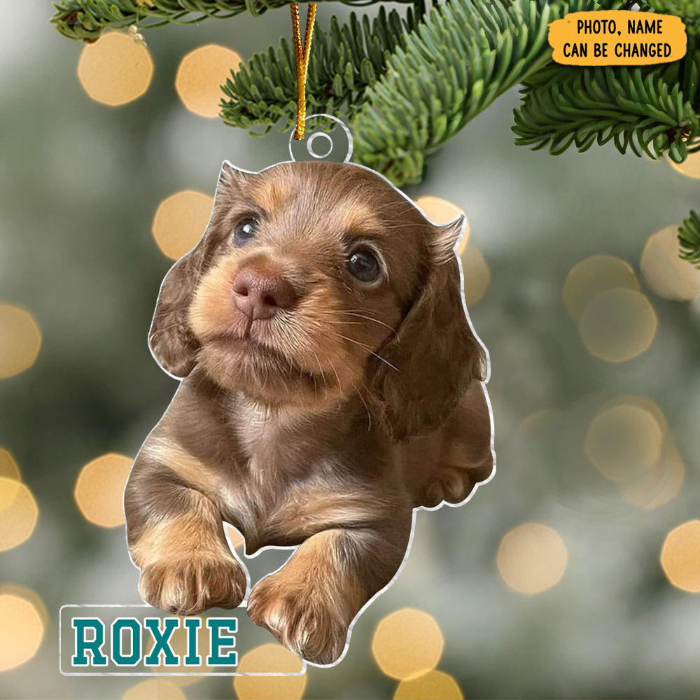Personalized Photo Dog Christmas Ornament Picture Christmas Ornaments Dog Owner Xmas Gifts