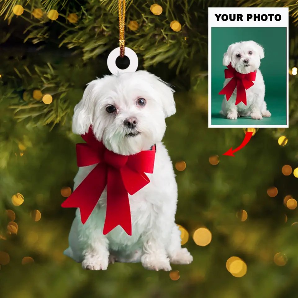 Personalized Photo Mica Ornament Gift For Dog Lover Dogs Christmas Photo