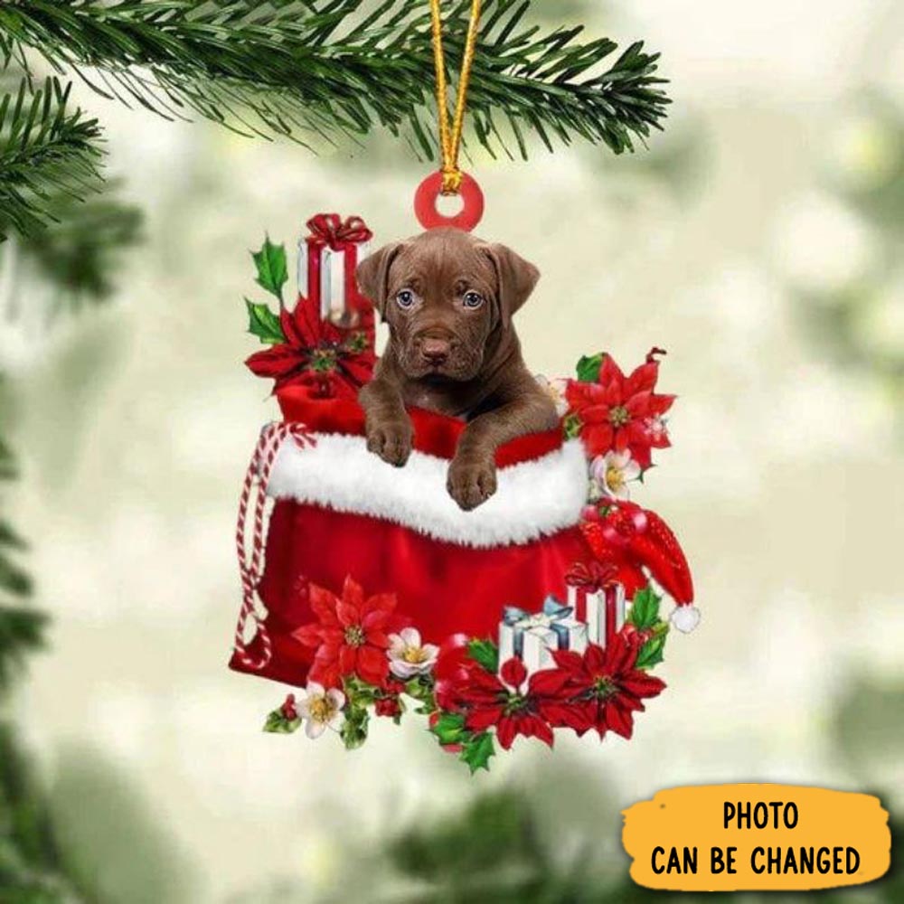 Personalized Pit Bull In Gift Bag Christmas Ornament Elegant Tree Ornament Decoration