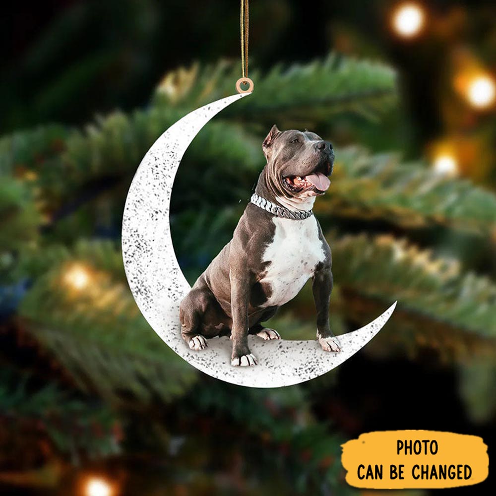 Personalized Pitbull Sit On The Moon Ornament Thoughtful Valentine Ornament Gift