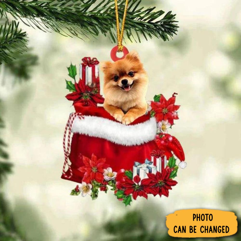 Personalized Pomeranian In Gift Bag Christmas Ornament Beautiful Graduation Ornament Gift