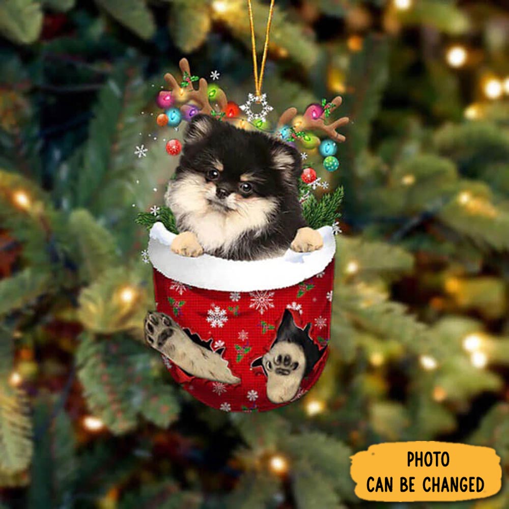 Personalized Pomeranian In Snow Pocket Christmas Ornament Thoughtful Ornament Gift For Dad