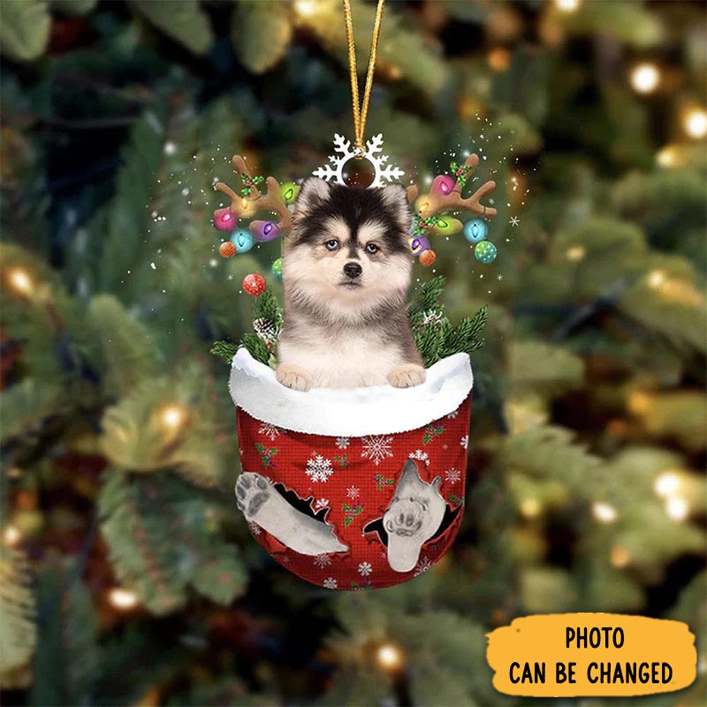 Personalized Pomsky In Snow Pocket Christmas Ornament Cozy Christmas Ornament Decoration Unique Holiday Ornament Gift Beautiful Graduation Ornament Gift