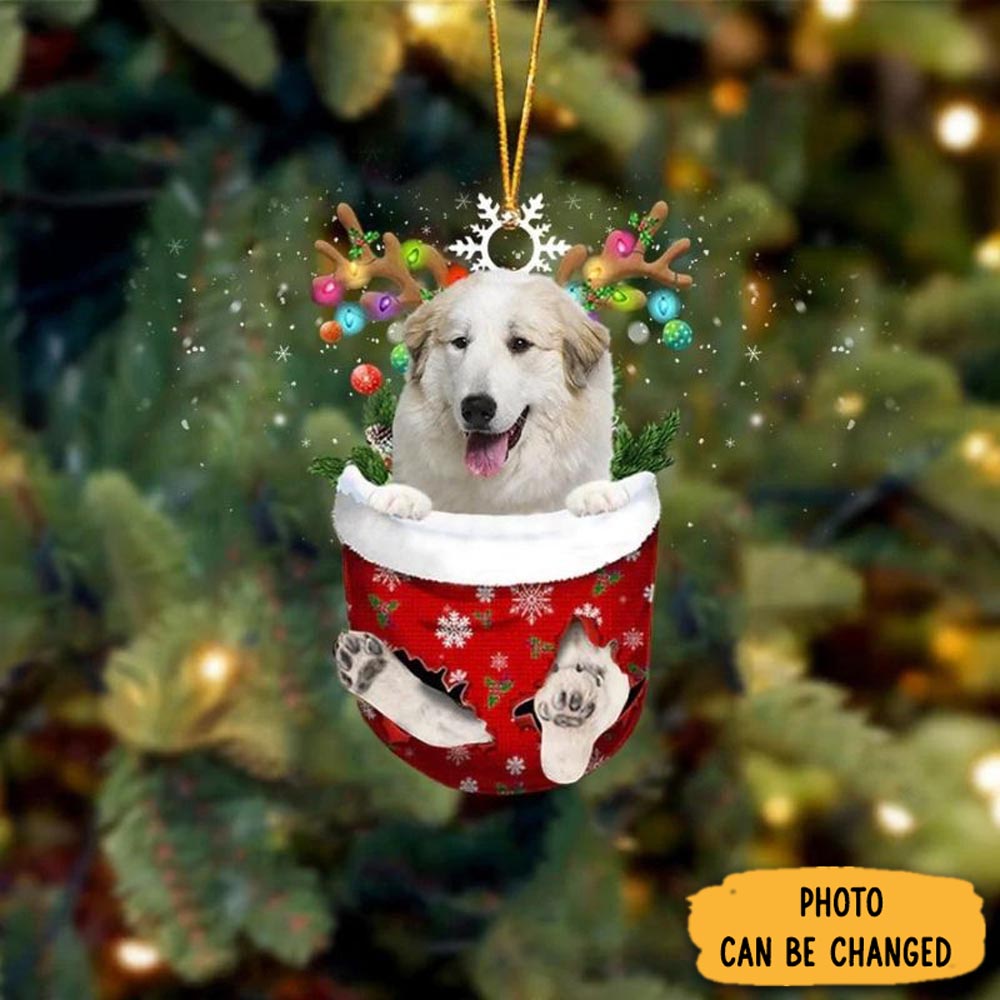 Personalized Pyrador In Snow Pocket Christmas Ornament Sweet Ornament Gift For Couples