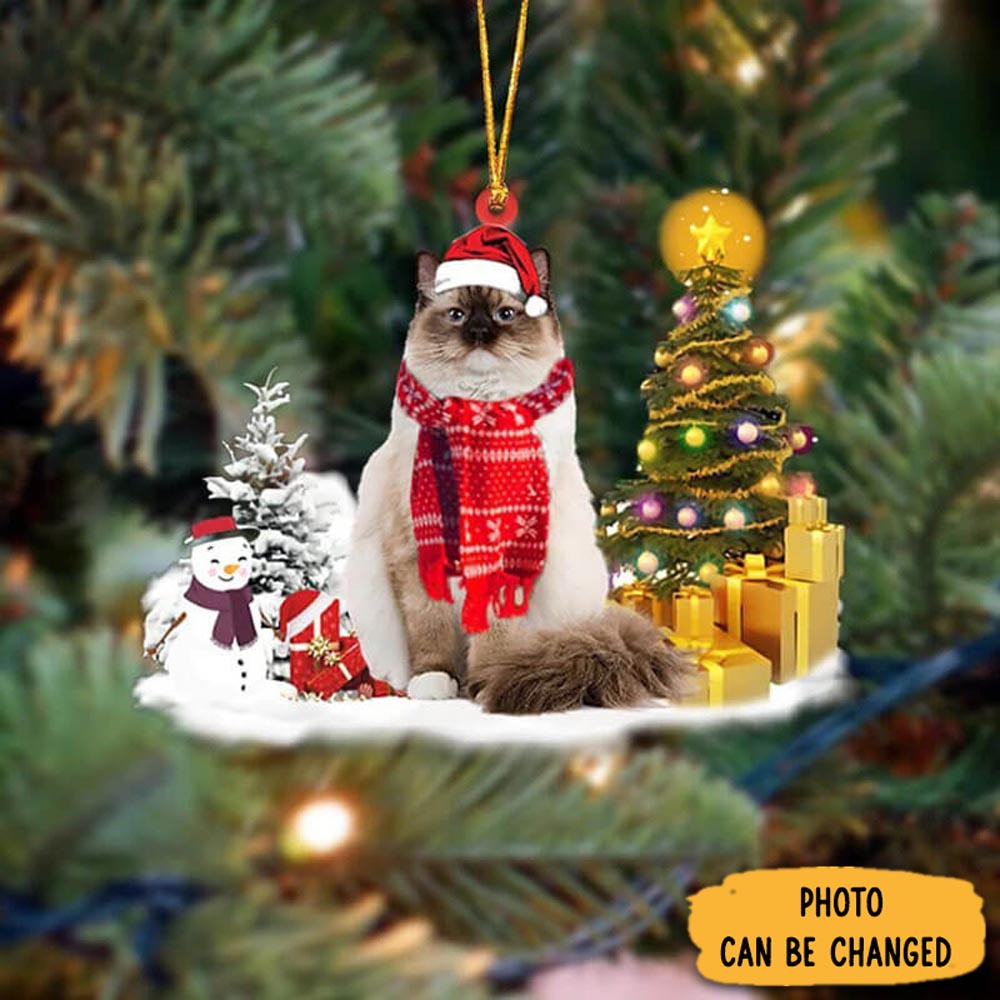 Personalized Ragdoll Cat Christmas Ornament Lovely New Year Ornament Keepsake