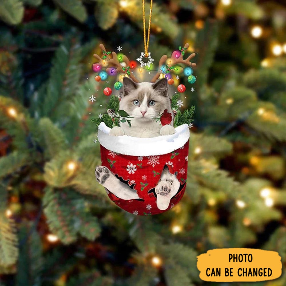 Personalized Ragdoll Cat In Snow Pocket Christmas Ornament Perfect Christmas Ornament Gift