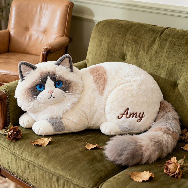 Personalized Ragdoll Cat Pillow Sofa Decor Christmas Gifts Ideas For Cat Lovers