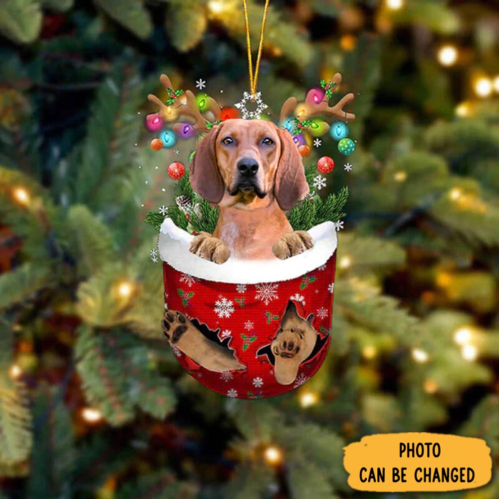 Personalized Redbone Coonhound In Snow Pocket Christmas Ornament Personalized Ornament For Holiday Decor