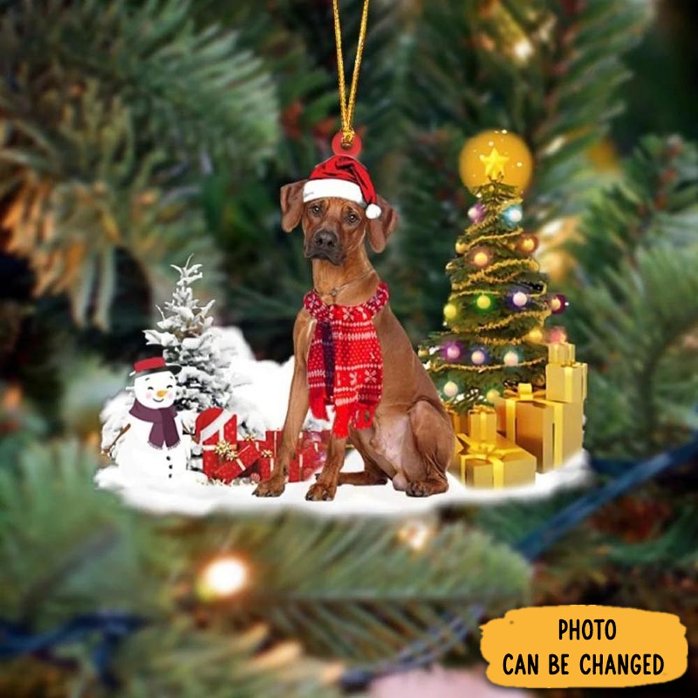 Personalized Rhodesian Ridgeback Christmas Ornament Unique Ornament Gift For Friends