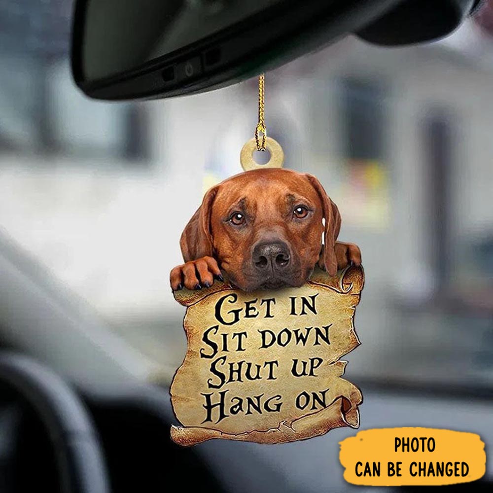 Personalized Rhodesian Ridgeback Get In Ornament Heartwarming Holiday Ornament Gift