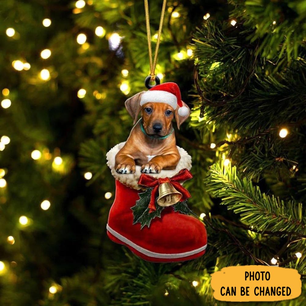 Personalized Rhodesian Ridgeback In Santa Boot Christmas Hanging Ornament Charming Mother's Day Ornament