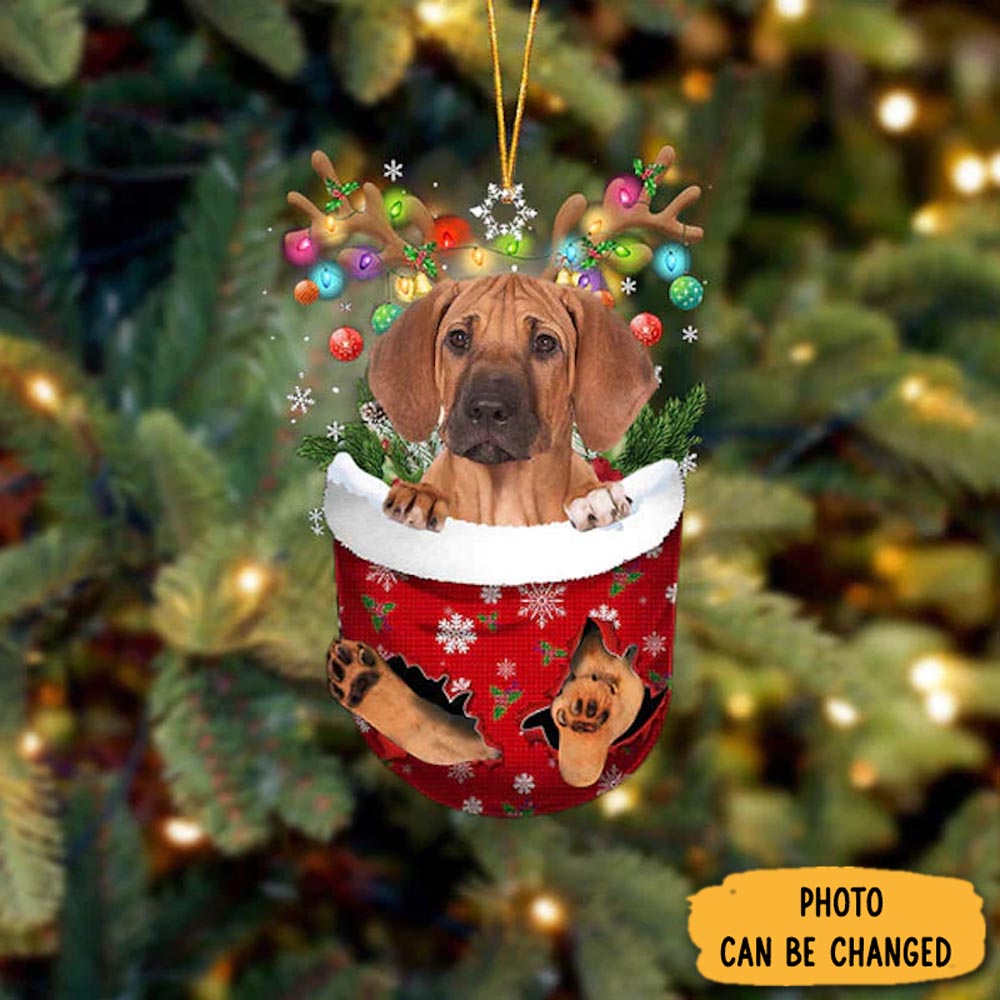 Personalized Rhodesian Ridgeback In Snow Pocket Christmas Ornament Meaningful Birthday Ornament Gift