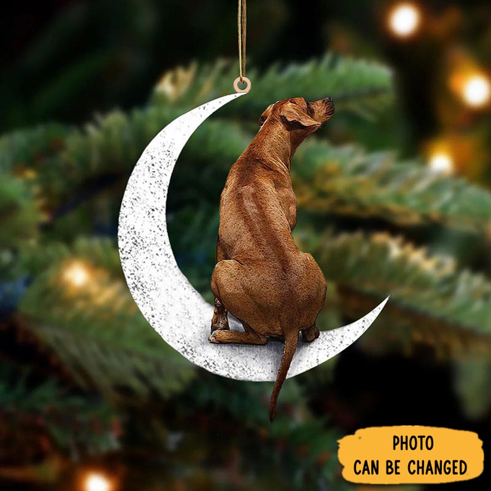 Personalized Rhodesian Ridgeback Sit On The Moon Ornament Adorable Easter Ornament Keepsake