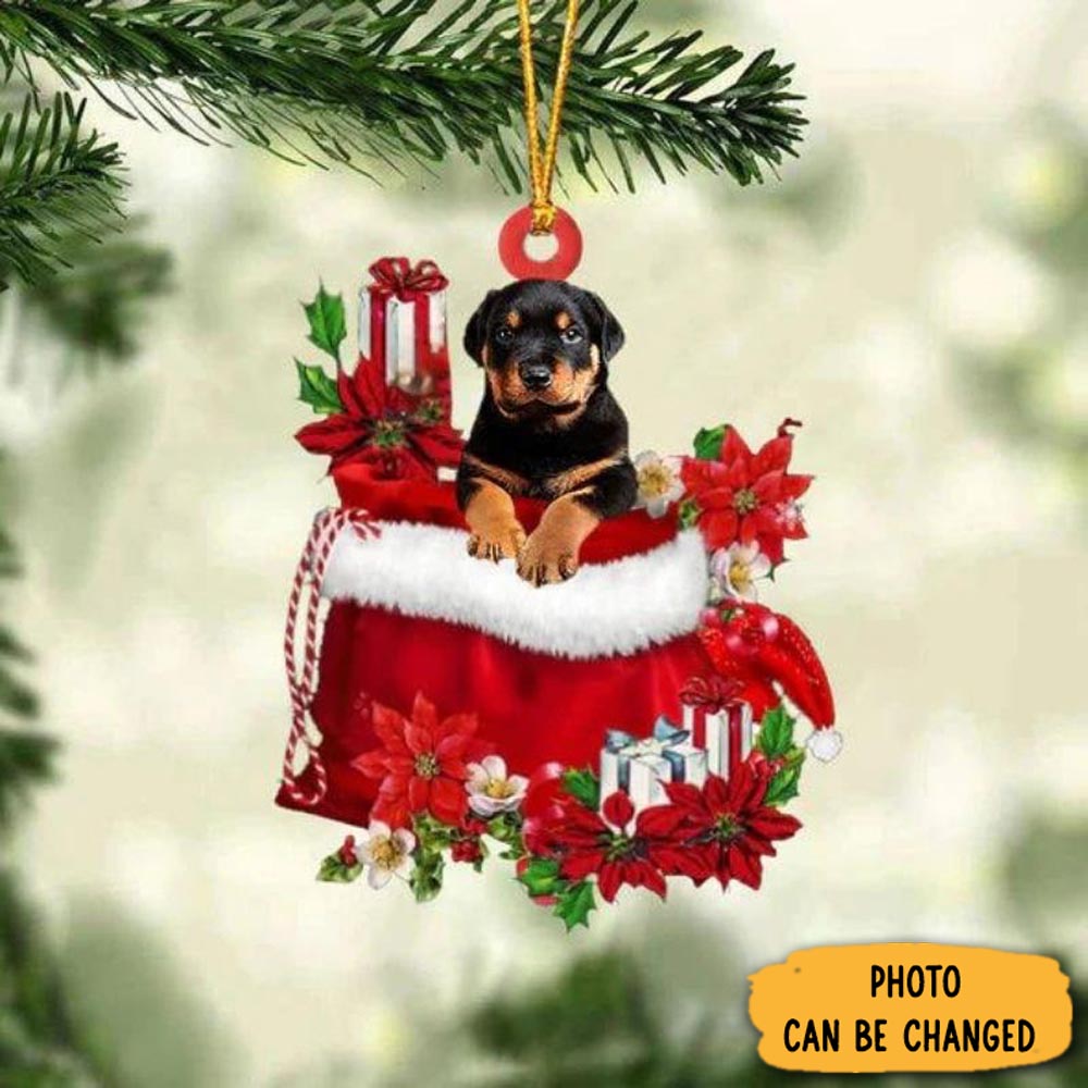 Personalized Rottweiler In Gift Bag Christmas Ornament Meaningful Birthday Ornament Gift