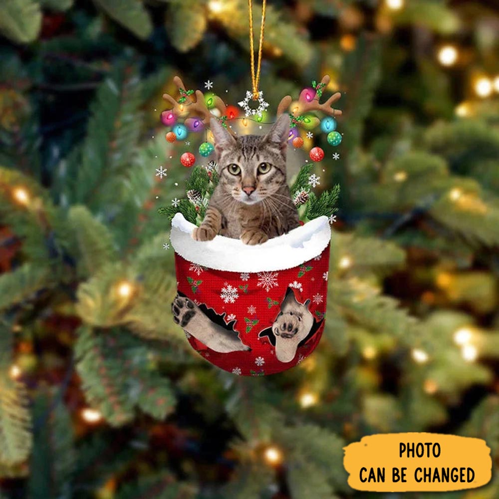 Personalized Savannah Cat In Snow Pocket Christmas Ornament Special Father's Day Ornament Gift