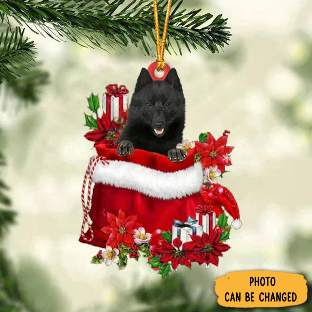 Personalized Schipperke In Gift Bag Christmas Ornament Beautiful Graduation Ornament Gift