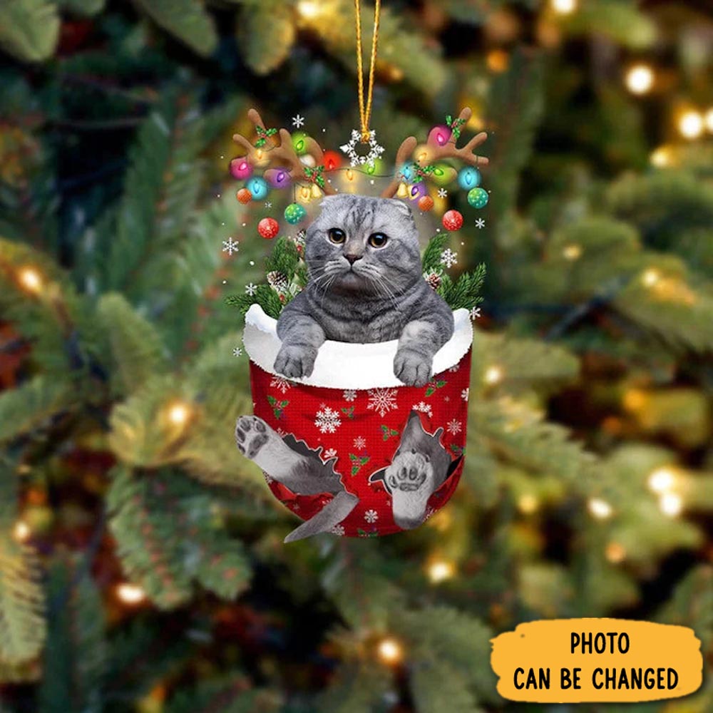 Personalized Scottish Fold Cat In Snow Pocket Christmas Ornament Lovely New Year Ornament Keepsake