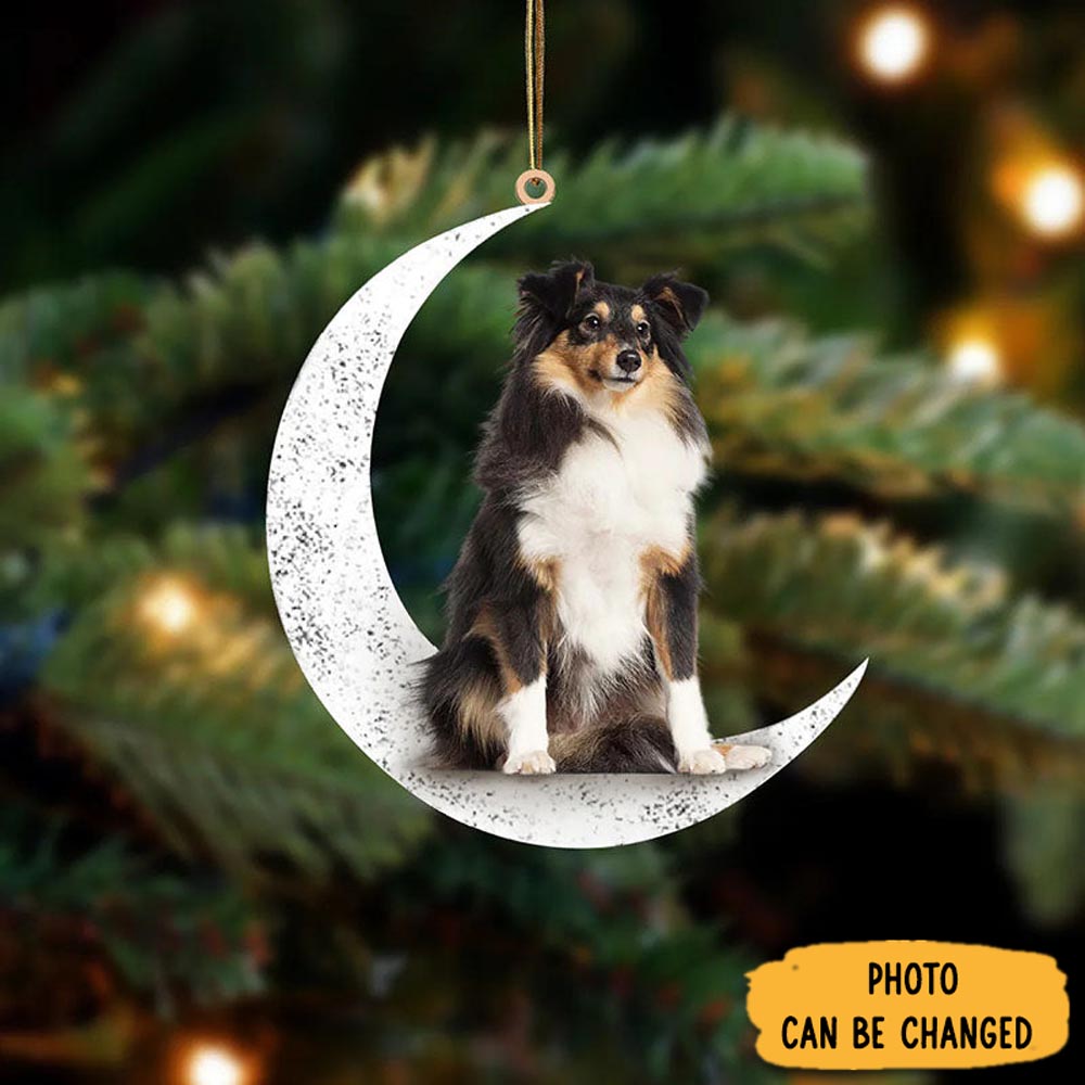 Personalized Shetland Sheepdog Sit On The Moon Ornament Warm Ornament Gift For Family