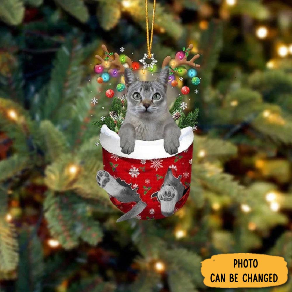 Personalized Singapura Cat In Snow Pocket Christmas Ornament Custom Christmas Ornament Gift Idea