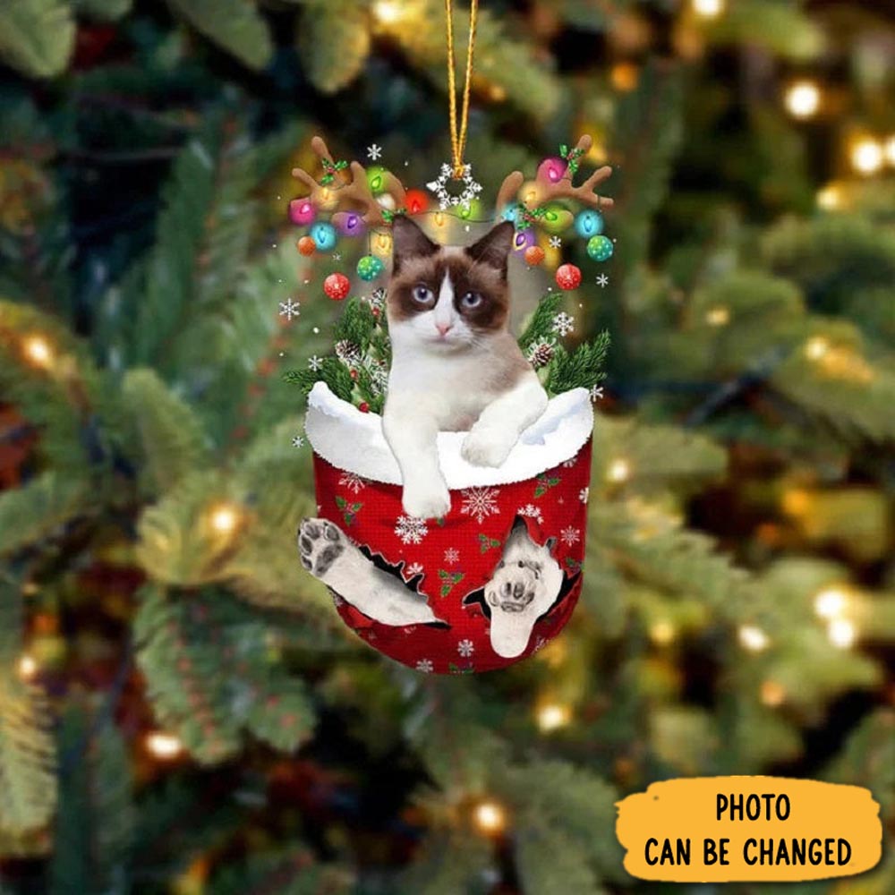 Personalized Snowshoe Cat In Snow Pocket Christmas Ornament Heartwarming Family Ornament Keepsake
