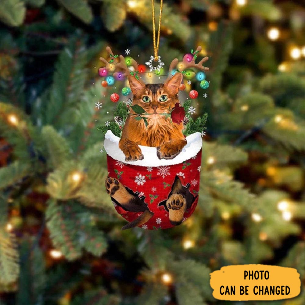 Personalized Somali Cat In Snow Pocket Christmas Ornament Lovely New Year Ornament Keepsake