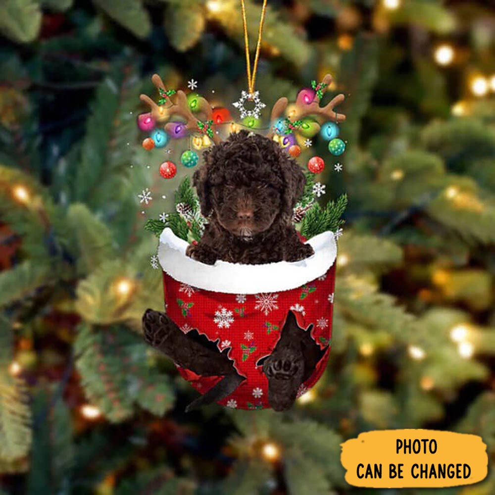 Personalized Spanish Water Dog In Snow Pocket Christmas Ornament Adorable Easter Ornament Keepsake