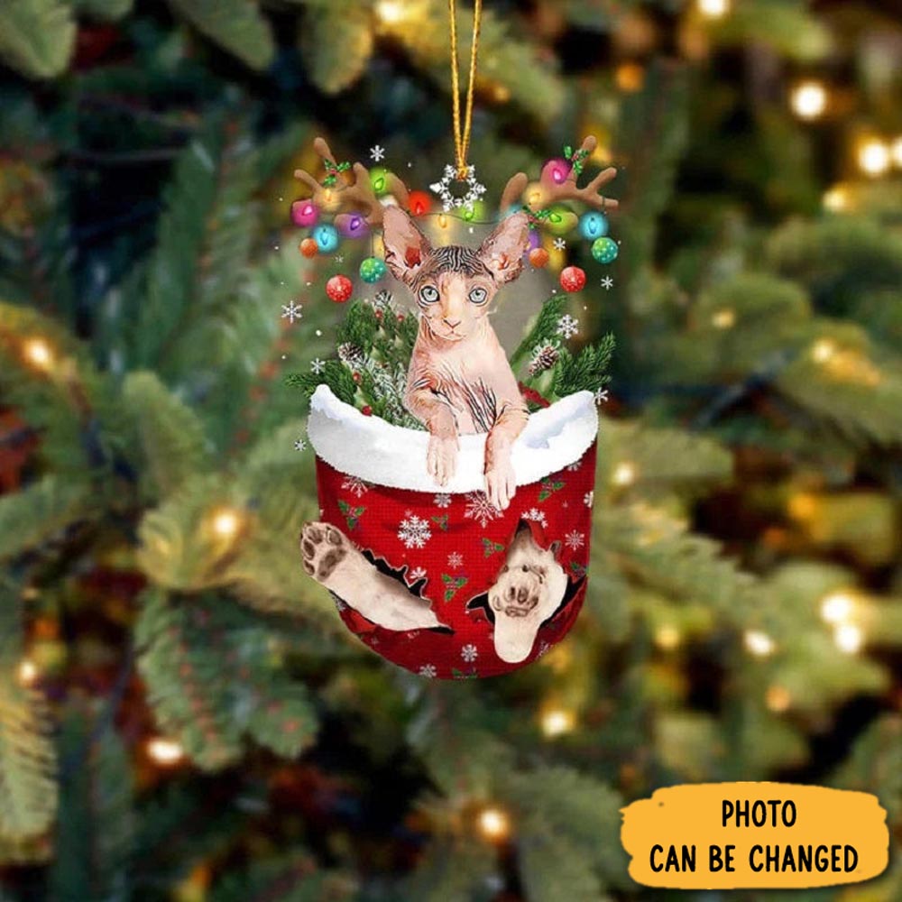 Personalized Sphynx Cat In Snow Pocket Christmas Ornament Thoughtful Ornament Gift For Dad
