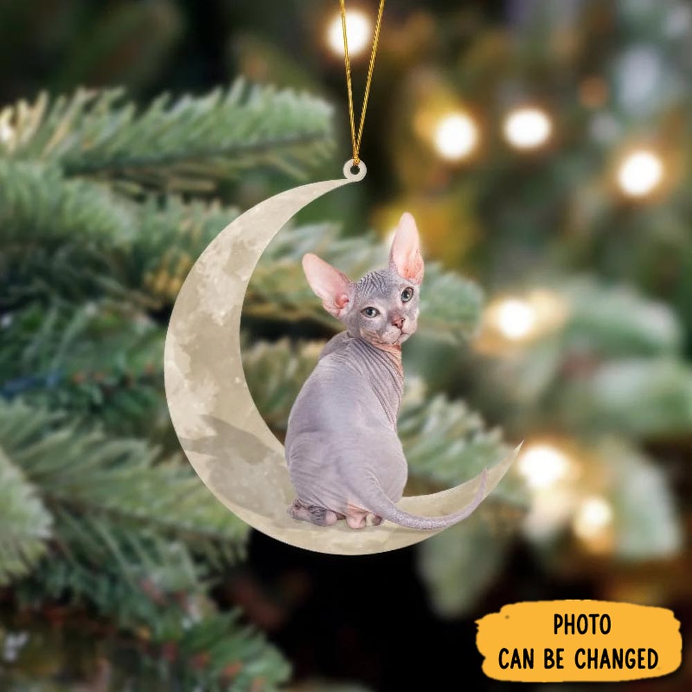 Personalized Sphynx Cat Sits On The Moon Hanging Ornament Memorable Anniversary Ornament Keepsake