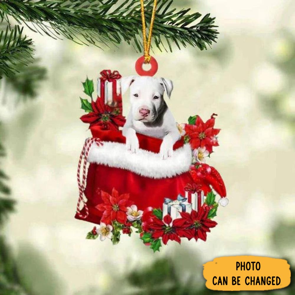Personalized Staffordshire Bull Terrier In Gift Bag Christmas Ornament Thoughtful Ornament Gift For Dad
