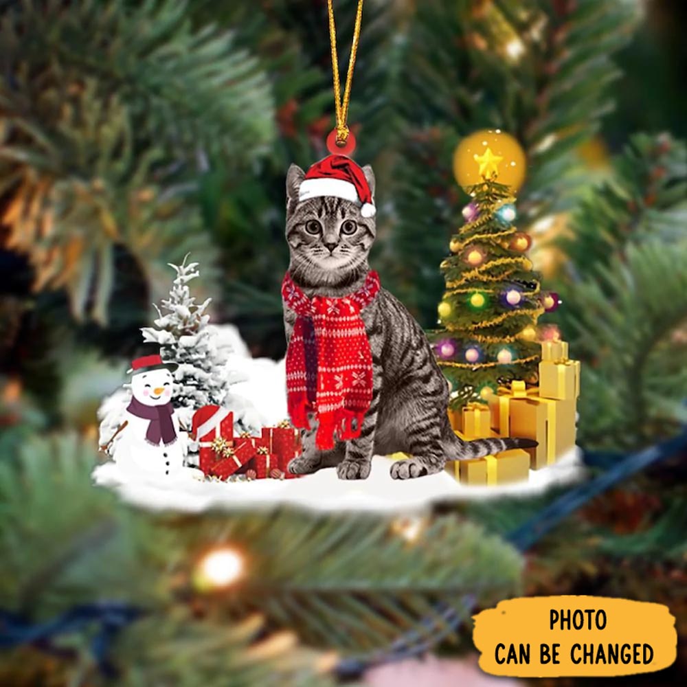 Personalized Tabby Cat Christmas Ornament Perfect Christmas Ornament Gift