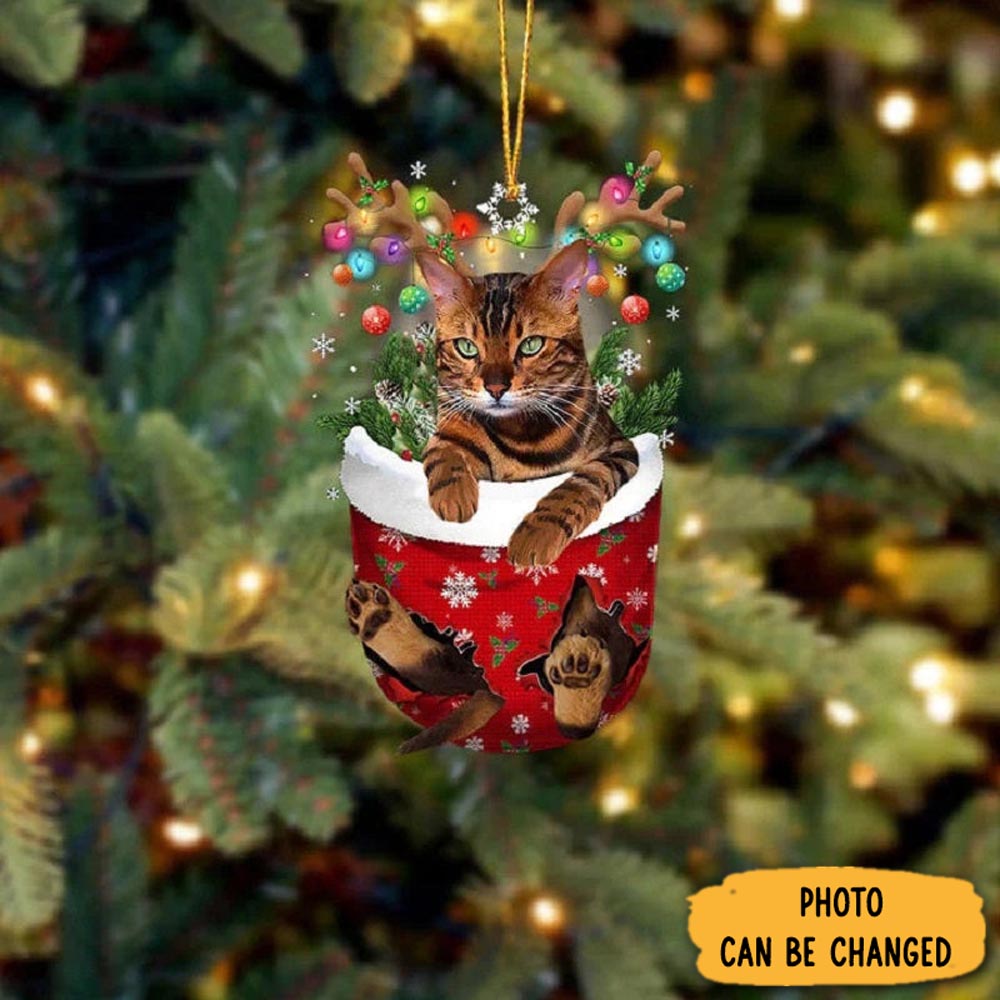 Personalized Tiger Cat In Snow Pocket Christmas Ornament Perfect Ornament Gift For Her