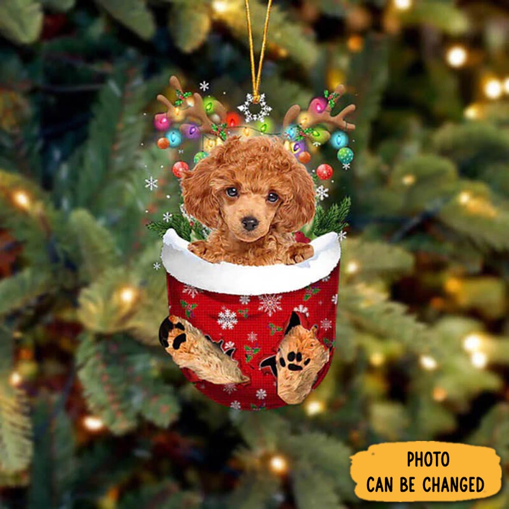 Personalized Toy Poodle In Snow Pocket Christmas Ornament Beautiful Holiday Ornament Keepsake