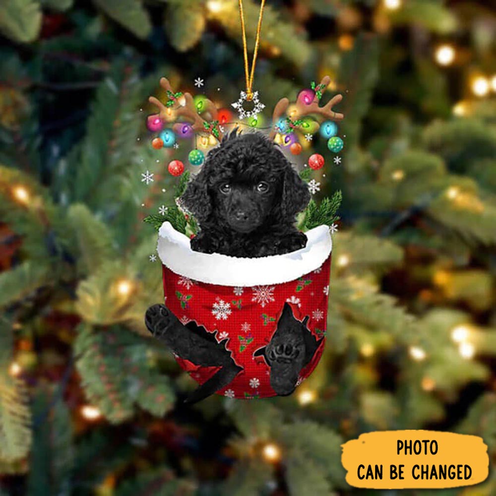 Personalized Toy Poodle In Snow Pocket Christmas Ornament Heartwarming Family Ornament Keepsake