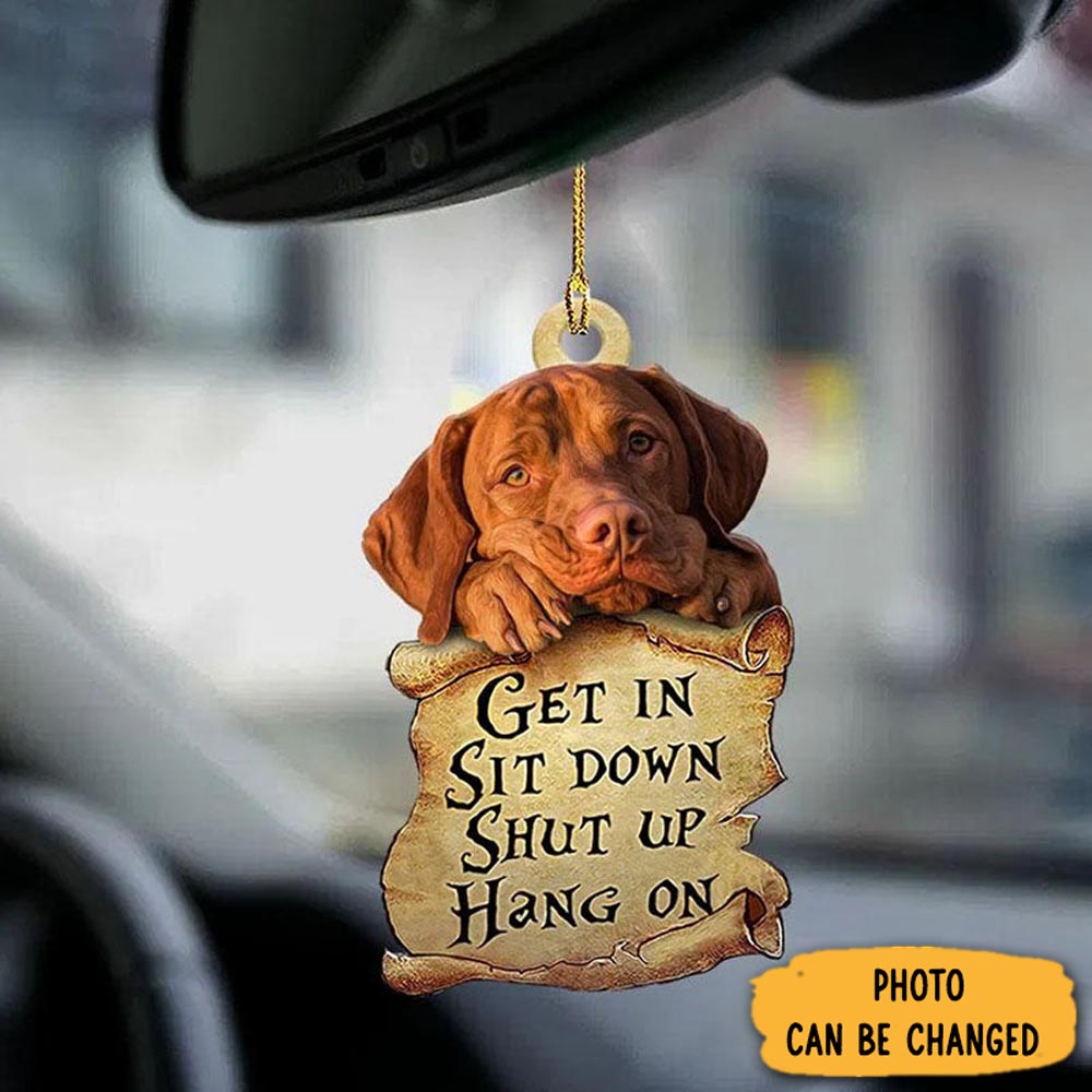 Personalized Vizsla Get In Ornament Special Father's Day Ornament Gift