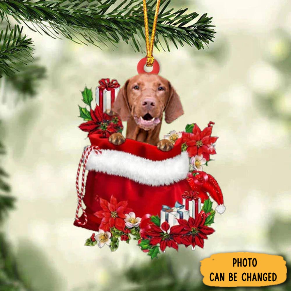 Personalized Vizsla In Gift Bag Christmas Ornament Meaningful Birthday Ornament Gift