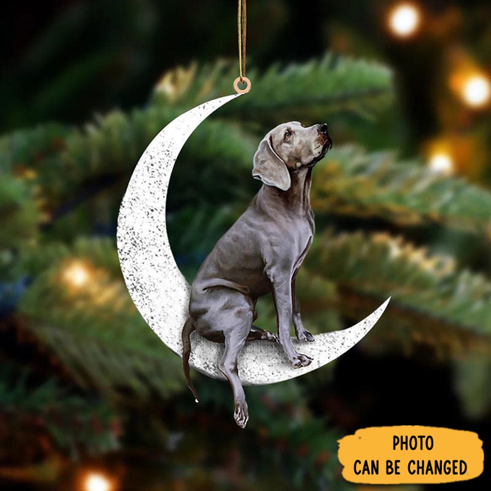 Personalized Weimaraner Sit On The Moon Ornament Lovely Holiday Ornament Display