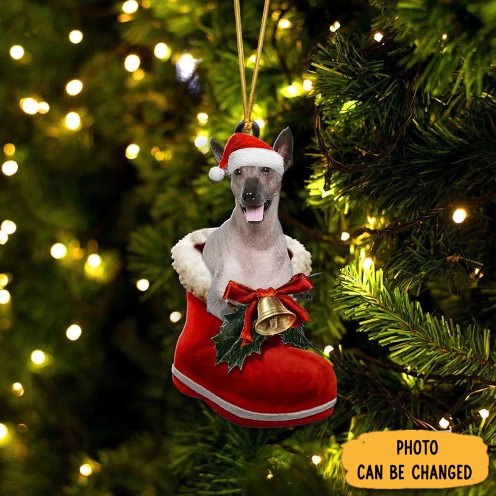 Personalized Xoloitzcuintli In Santa Boot Christmas Hanging Ornament Heartwarming Holiday Ornament Gift