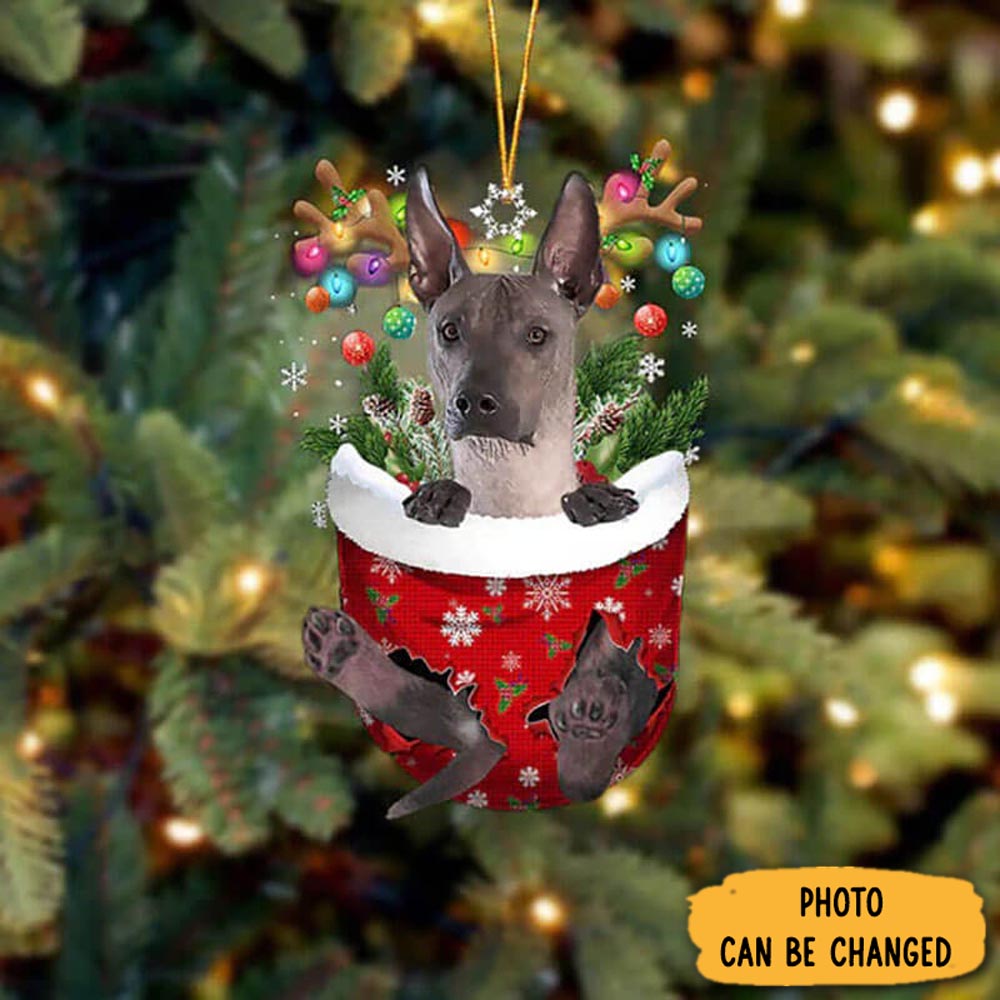 Personalized Xoloitzcuintli In Snow Pocket Christmas Ornament Magical Christmas Tree Ornament