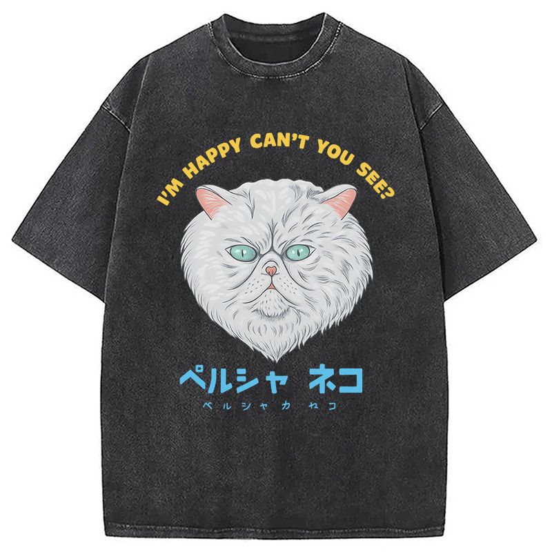Perusha Neko Washed T-Shirt Trendy Aesthetic Graphic Apparel Gifts For Friends