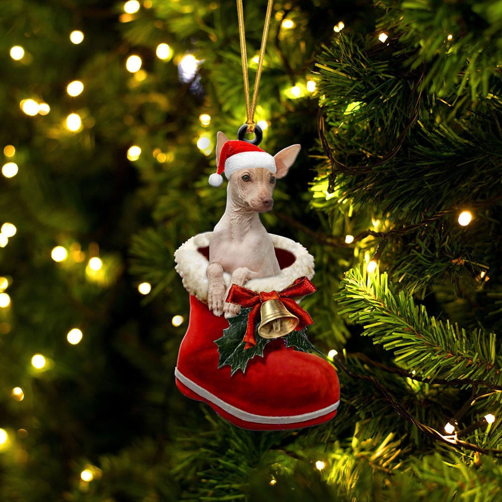 Peruvian Inca Orchid In Santa Boot Christmas Two Sided Ornament
